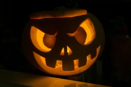 2025-10-31 Halloween Fox 59