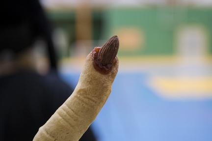 2025-10-31 Halloween Fox 28