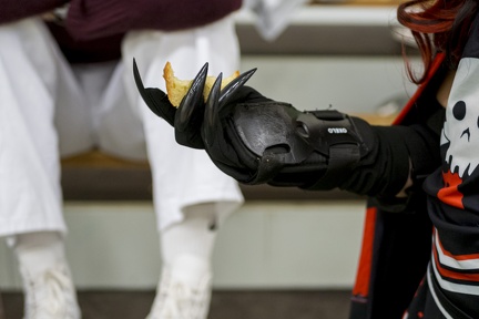 2025-10-31 Halloween Fox 29